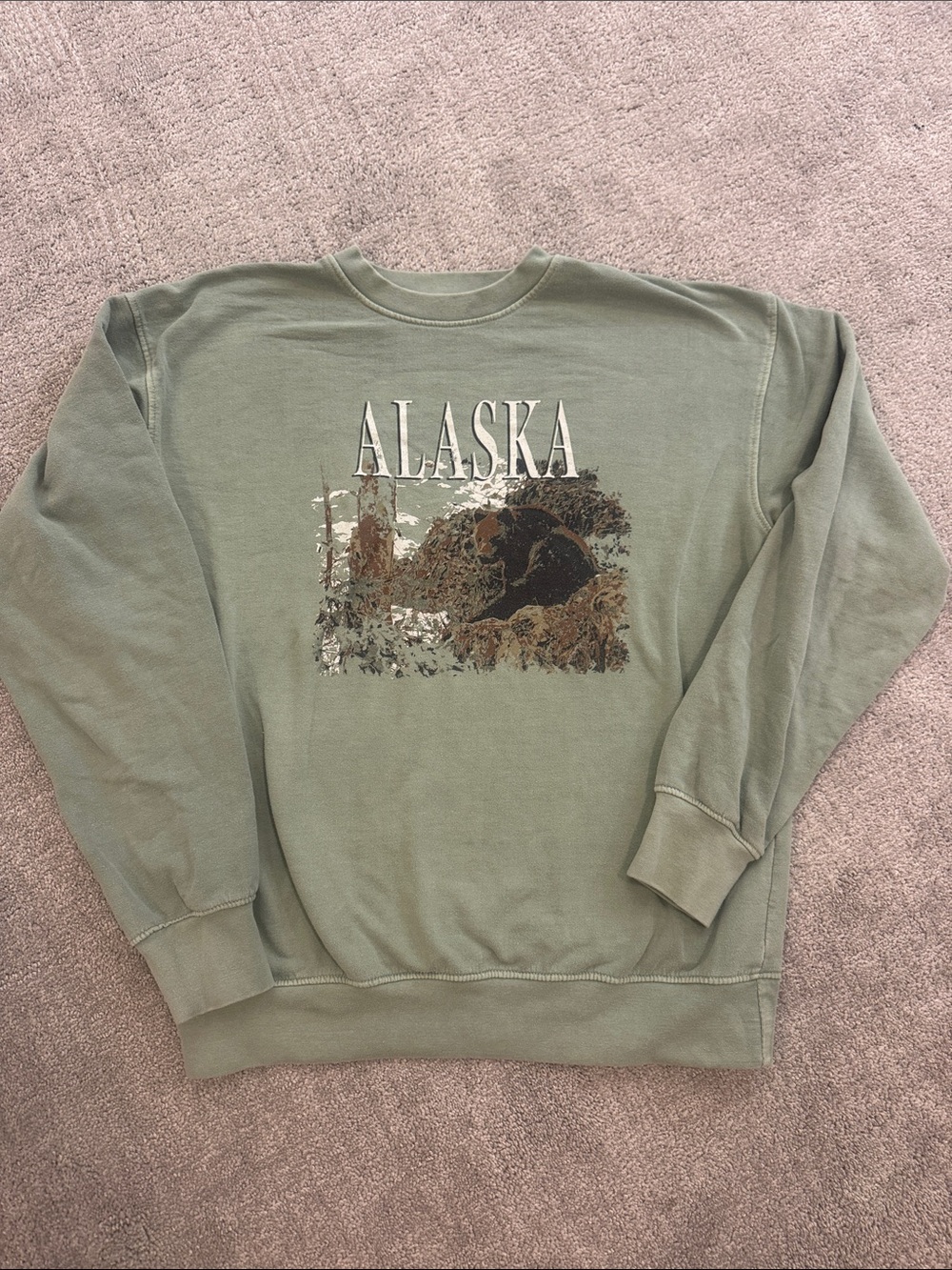 Nasty gal Women's Alaska Graphic Crewneck Sweatshirt - Sage Green - Medium
